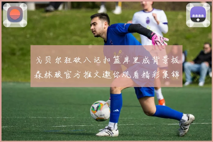 戈贝尔狂砍八记扣篮库里成背景板森林狼官方推文邀你观看精彩集锦